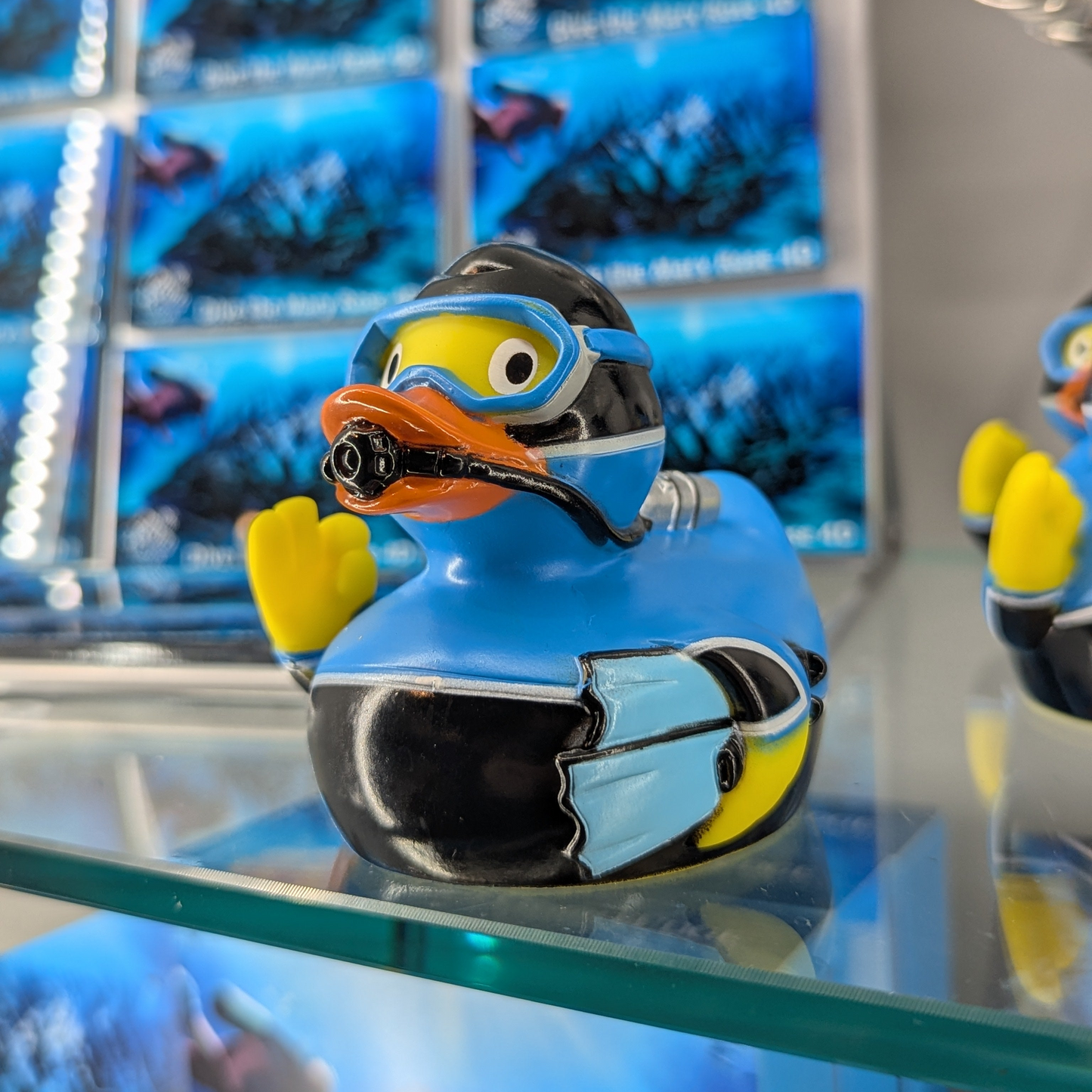 Diver Duck